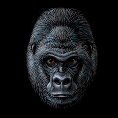 Gorilla. Graphic, color portrait of a gorilla monkey on a black background. Digital vector graphics.