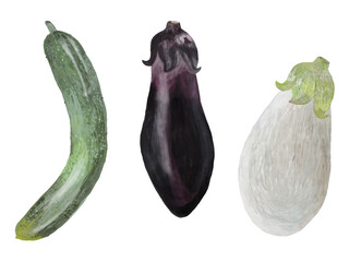 なすキュウリセット_横