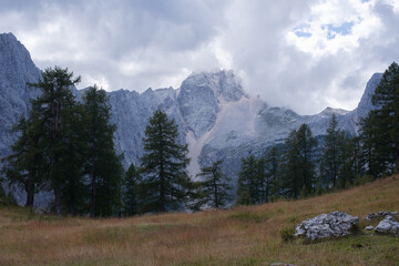 view of green valley down  Slovenian alps on the way to Mala Mojstrovka