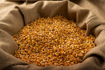 Burlap sack filled with yellow corn kernels