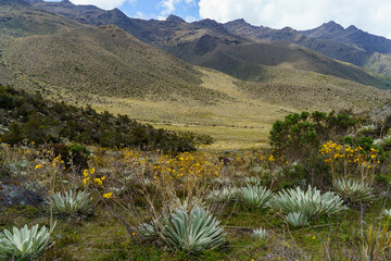 Dead valley of the national park sierra de la Culata at an altitude of 2,500 meters above sea level...