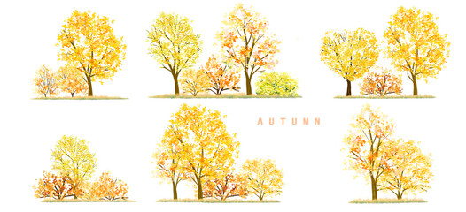 autumn trees collection,watercolor blooming flower tree or forest side view isolated on white background for landscape and decorative ,elements for environment or and garden,botanical garden 