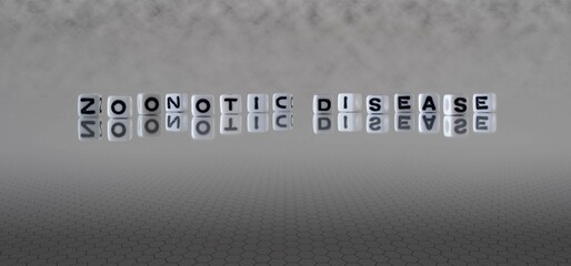 zoonotic disease word or concept represented by black and white letter cubes on a grey horizon background stretching to infinity