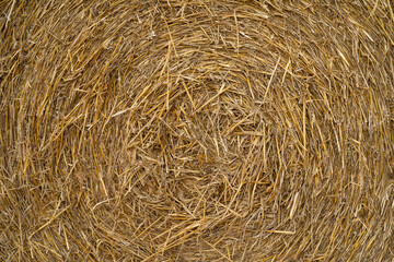 concentric straw bale structure background
