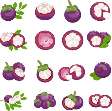 Mangosteen icons set cartoon vector. Purple fruit. Garcinia tropical