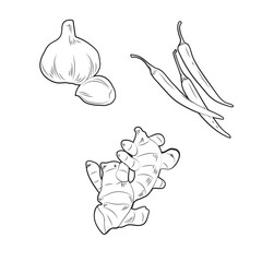 にんにく・しょうが・唐辛子　スパイス・薬味セット　線画　イラスト・素材