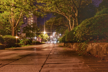 公園から見た道路