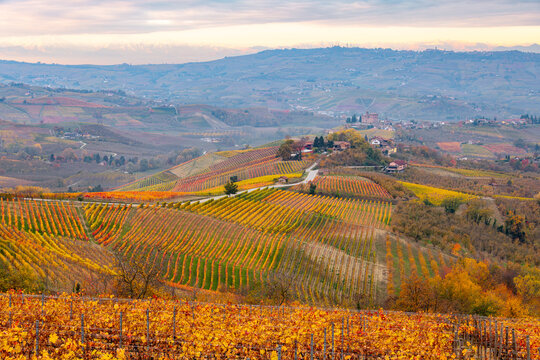 view of castle of Grinzane Cavour, Langhe, Piedmont, Italy