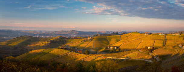 Panorama of Barbaresco vineyards in autumn, Piedmont, Italy - obrazy, fototapety, plakaty