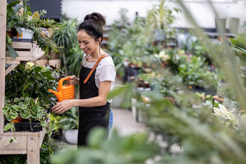 Fototapeta na wymiar Woman working in greenhouse, watering flowers 