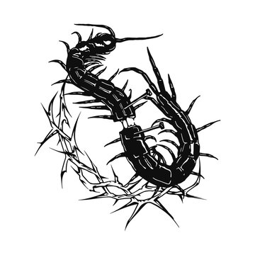 vector illustration of centipede split concept