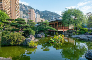 Japanese garden in Monaco and water plants and amazing topiary pine trees and japanese pavilion