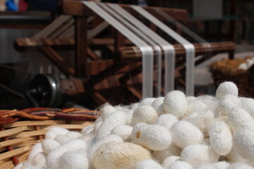 white silk cocoons, silk cocoons in basket on silk making machine background. raw silk closeup...