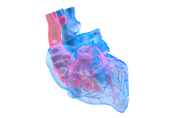 Futuristic medical concept with red human heart