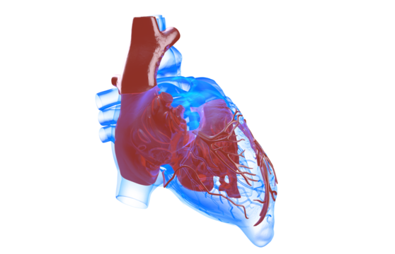 Futuristic medical concept with red human heart