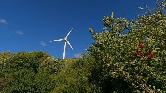 Wind turbine, Gut Grosslappen, Munich, Bavaria, Germany. Windmill producing green energy near the Allianz Arena in Munich, Germany. The topic is an environmentally friendly source of energy
