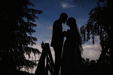 silhouette of embracing couple of bride and groom on a wedding day in nature