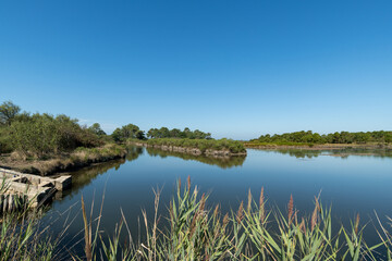 ANDERNOS (Bassin d'Arcachon, France), site naturel de Saint-Brice-Les quinconces
