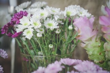 white chrysanthemum Siam Tulip flower decorating in vase