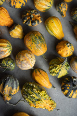 Background of mini decorative pumpkins spread out on the floor. Concept of autumn and halloween holidays