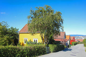 Fototapeta premium Bunte Häuser in Trondheim