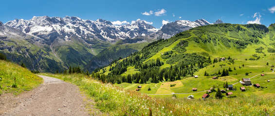 The panorma of Bernese alps with the Jungfrau, Monch and Eiger peaks over the alps meadows.