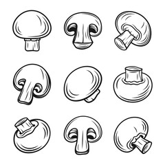 Vector Hand Drawn Black and White Monochrome Champignon with Outline Set. Cartoon Champignon Mushrooms. Design Template, Clipart. Agaricus Campestris