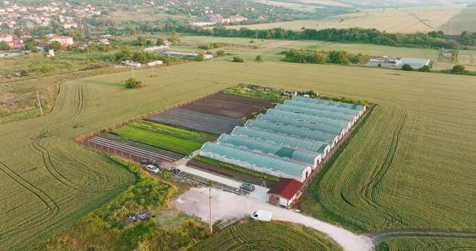 Aerial view Greenhouses lined up in row, covered with transparent film of growing vegetables and fruits. Texture of roofs of greenhouses field background. Farming, bio products. Drone