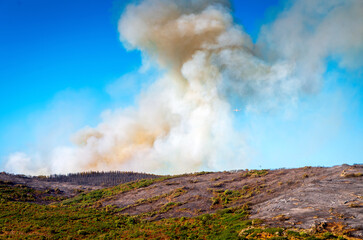 Intervention sur le lieu d'un incendie de forêt,Occitanie,France.