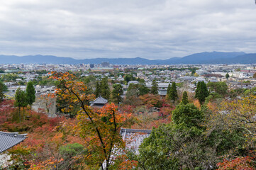 京都の秋
