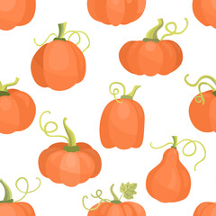 Autumn seamless patterns with pumpkins on white background. Hand drawn flat illustration.