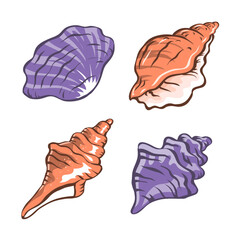 Seashells set. Snail sea shell. Marine underwater twisted seashell. Spiral shape. Undersea mollusc. Animal and wildlife. Cartoon isolated art illustration hand drawn. Vector sketch
