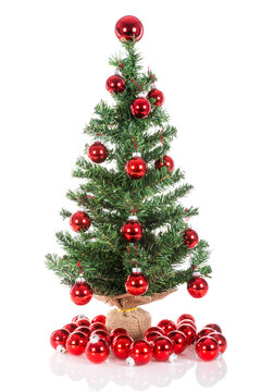 Christmas tree decorated with red balls isolated at  transparant  background