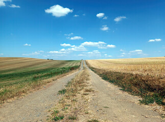 Wanderweg durch Sommerlandschaft in der Eifel mit Wiese, Feld, blauem Himmel und Cumulus-Wolken bei Monreal im Landkreis Mayen-Koblenz, Rheinland-Pfalz. Blick vom Traumpfad Monrealer Ritterschlag