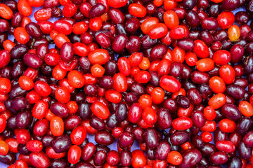 Fresh dogwood berry as background.