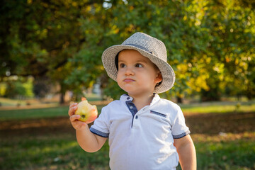 A toddler eats an apple while in a public park, children and healthy lifestyle concept.