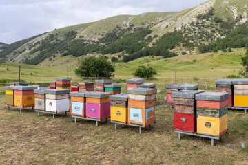 Colorful wooden beehive boxes in the mountains in Abruzzo, Italy. Mountain beekeeping.