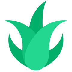 Aloe Vera icon. Flat design. For presentation.