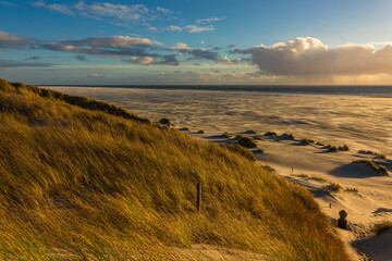 Landschaft mit Dünen auf der Nordseeinsel Amrum