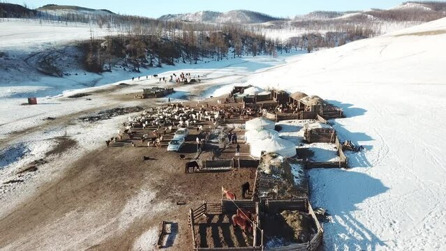 Village en Mongolie dans les montagne avec des agriculteurs, yourtes, mouton et chevaux.