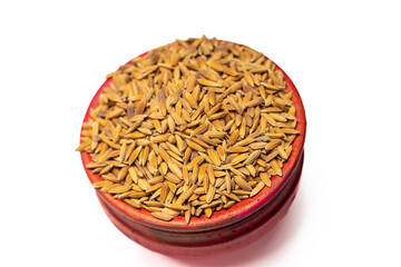 Ripe rice seed close up texture Background