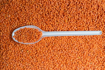 Organic masoor dal Close up (Lens culinaris) or whole pink dal