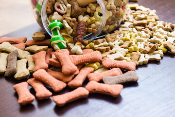 Dog colored biscuits on wooden background, snacks for dogs.