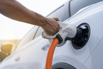 The male plugs the power cable in the electric car to charge.