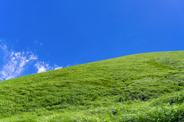 静岡県伊東市　夏のさくらの里　大室山