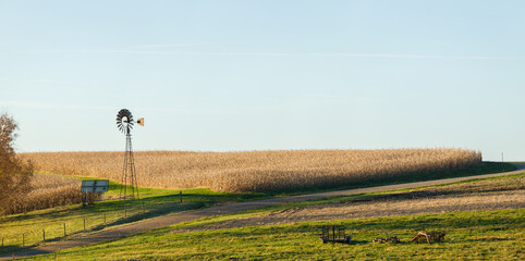 Windmill and a cornfield ready for harvesting beside a dirt country road in Holmes County, Ohio