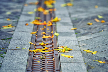 Drain blocked by colorful leaves in autumn season. Fallen leaves over footpath cover metal drainage...