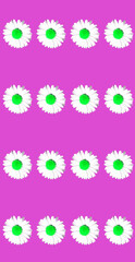 Floral daisy selective colour greeting card design