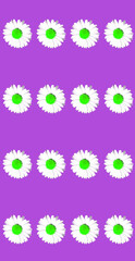 Floral daisy selective colour greeting card design