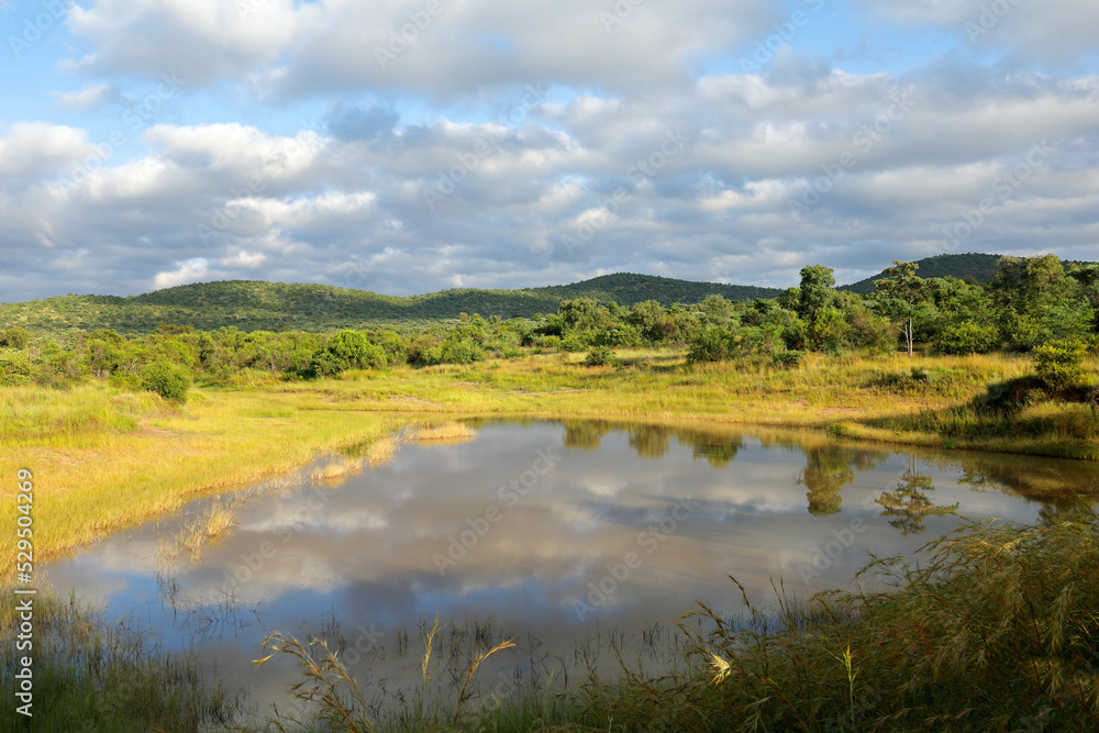 Poster Scenic water pond in African savannah landscape, South Africa.